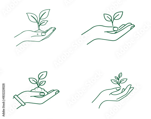 Gentle hands nurturing delicate green seedlings, symbolizing growth and new beginnings