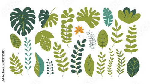 Collection of tropical botanical leaves and foliage elements in modern flat organic illustration style