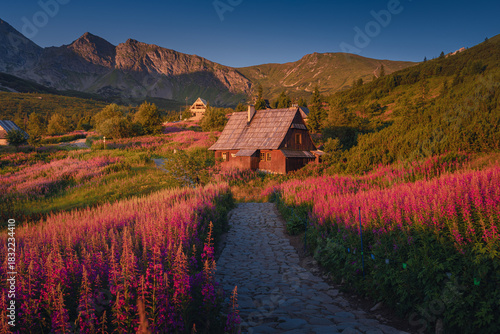 Fototapeta Naklejka Na Ścianę i Meble -  Fireweed flowering in the Tatras at sunrise in August, adding vivid pink tones to the mountain landscape.