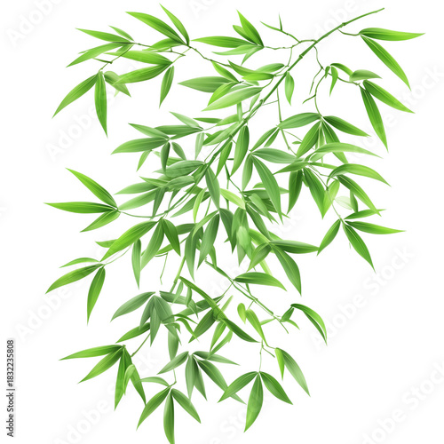 Green Bamboo Stalks Reaching Towards the Sky in Bright Daylight, Symbolizing ...