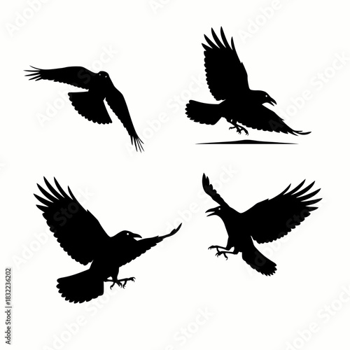 Black crow and raven bird silhouettes in various flight poses