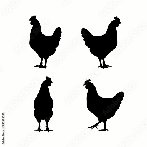 Four black chicken silhouettes in various standing poses on a white background, ideal for farm, poultry, and agricultural designs.