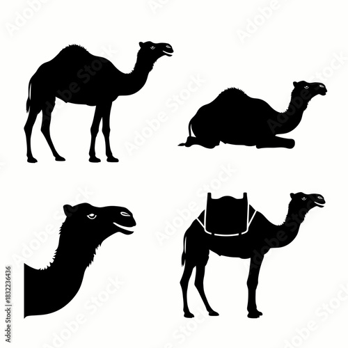 Four black camel silhouettes in different poses on white background