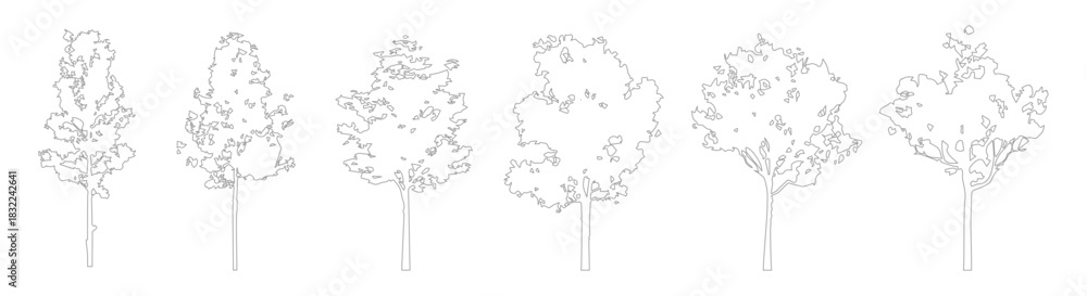 Fototapeta premium Architectural CAD Tree Outline Linework, Clean Side View Trees for Landscape and Architectural Design