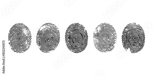 Vector black fingerprint background. Detailed fingerprint on grunge background symbolizing identity verification.	