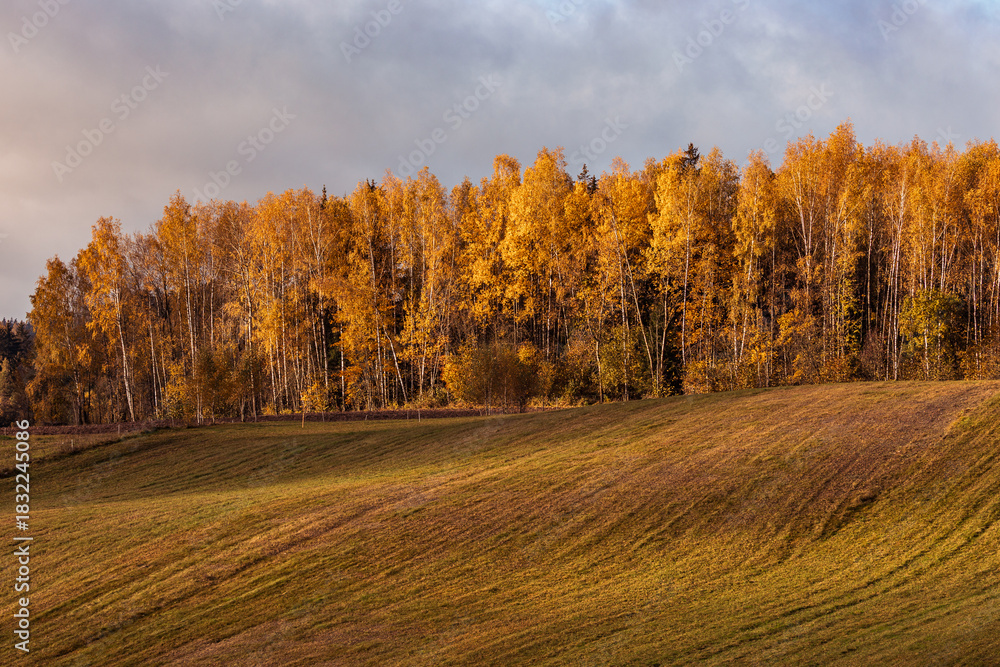 Fototapeta premium Golden Hills at Sunrise in Podlasie Landscape Park, Poland.