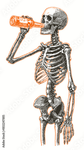 Vector illustration of a full body skeleton drinking a bottle of beer