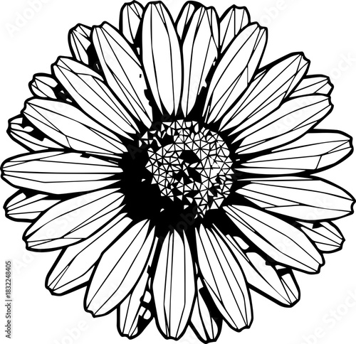 Elegant sunflower blossom illustration for creative designs and springtime projects, originally a scalable vector graphic, versatile and refined