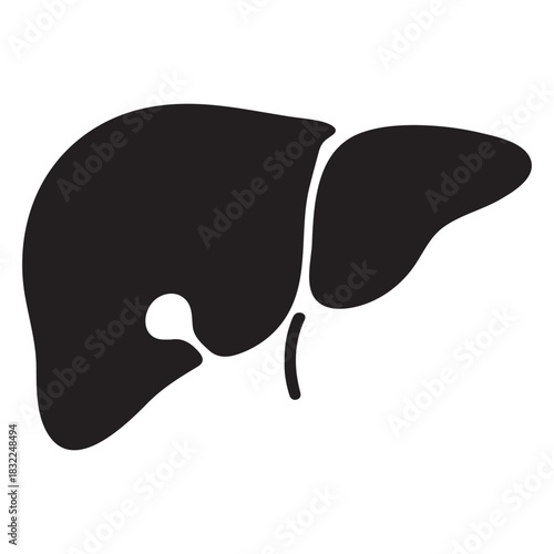 Black silhouette of a human liver human organ anatomy
