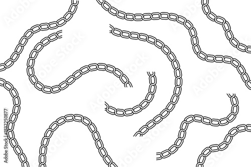 Curved chain-style decorative lines arranged freely across the canvas, forming fluid shapes ideal for borders, ornaments, repeating motifs, and creative graphic compositions.