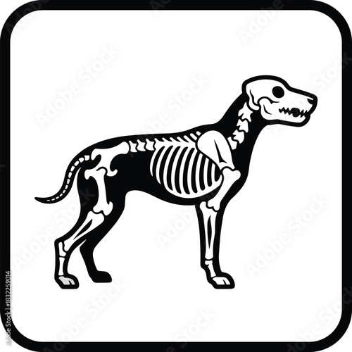 Dog skeleton anatomy, profile view, educational illustration, bones and structure, veterinary reference, flat vector design, black and white