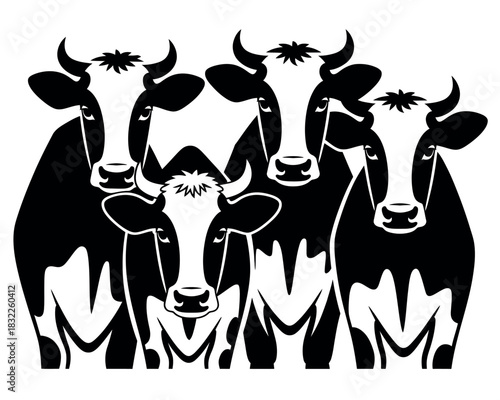 A group of five black and white dairy cows stand together against a white background, their heads facing forward.