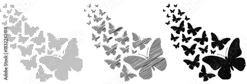 Butterfly transformation from pixelated to detailed a vector illustration of evolution