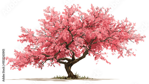 Cherry Tree with Pink Flowers Vector Drawing for Elegant Designs
