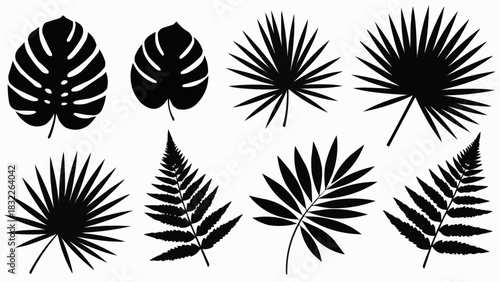 Silhouette collection of tropical leaves including monstera fern and palm leaves isolated on white background
