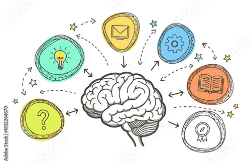 Brain Learning Process Hand-Drawn Vector Illustration