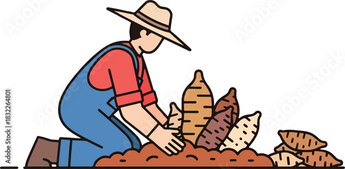 Farmer harvesting sweet potatoes from the soil