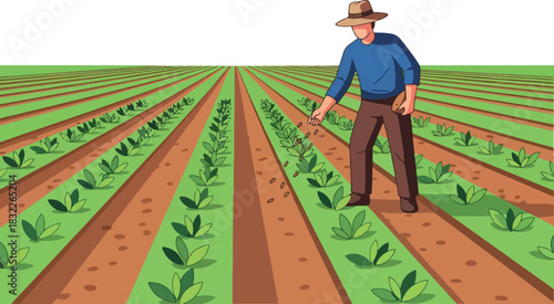 Farmer sowing seeds by hand in long green cultivated rows