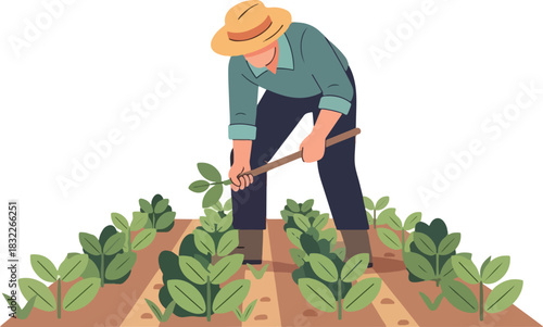 Farmer wearing a straw hat weeding a row of green plants in brown soil