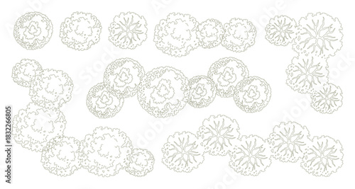 Tree for architectural floor plans. Entourage design. Various trees, bushes, and shrubs, top view for the landscape design plan. Vector illustration.