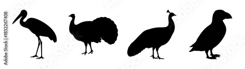 Discover unique bird silhouettes vector art featuring diverse avian species for graphic design projects