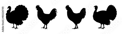 Silhouette vector illustration of turkey and rooster farm animals poultry fowl birds domestic birds
