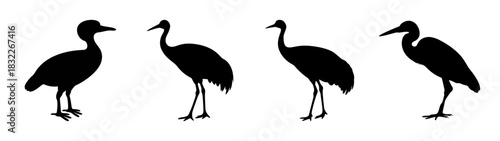 Silhouette crane birds vector art design illustration wildlife nature animal black and white heron stork