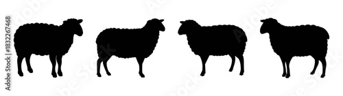 Sheep silhouette vector art: black sheep illustration, farm animals, livestock design element, ewe art