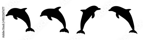 Dolphin silhouette vector art jumping dolphins ocean animal marine life aquatic mammal sea creature design graphic