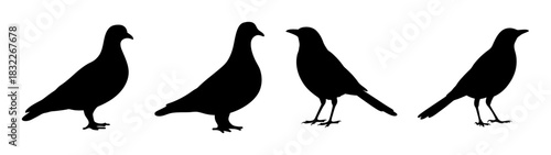 Four birds silhouette vector illustration, waterfowl birds, fowl, avian, goose, duck, swan vector