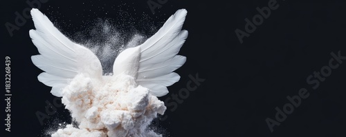 White Angel Wings Explosion on Black, fantasy, abstract