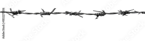 Close up of rusted barbed wire fence, isolated on white background. A barbed wire isolated on transparent background. Steel wire, sharp barbs, metal fence. Protection against trespassing.