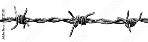 Close up of rusted barbed wire fence, isolated on white background. A barbed wire isolated on transparent background. Steel wire, sharp barbs, metal fence. Protection against trespassing.