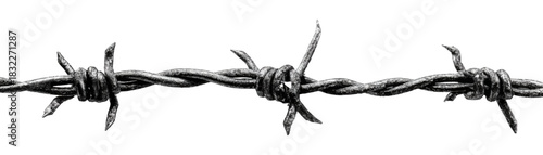 Close up of rusted barbed wire fence, isolated on white background. A barbed wire isolated on transparent background. Steel wire, sharp barbs, metal fence. Protection against trespassing.