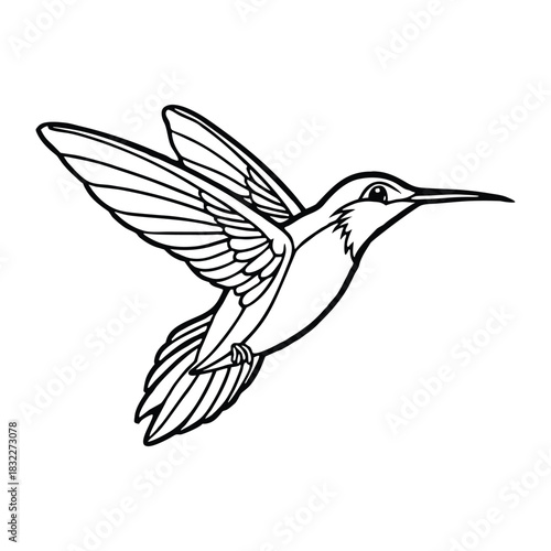 Silhouette of hummingbird hovering isolated on a white background