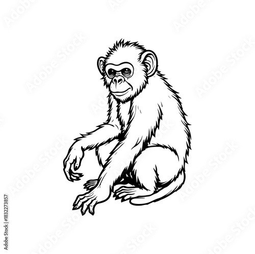 Canvas Print cartoon monkey outline for coloring, playful design