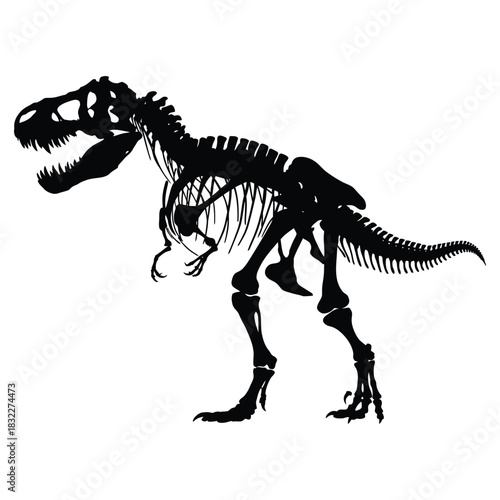 Tyrannosaurus Rex Skeleton Dinosaur Illustration