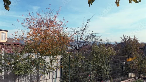 Wallpaper Mural Village life. Home garden and vegetable patch. Landscape of a clear autumn day. Leaves falling from the tree. Slow motion Torontodigital.ca