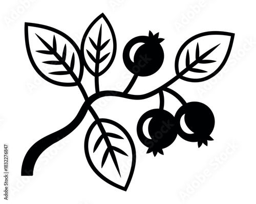 A stylized illustration of a berry branch with leaves and three ripe berries.