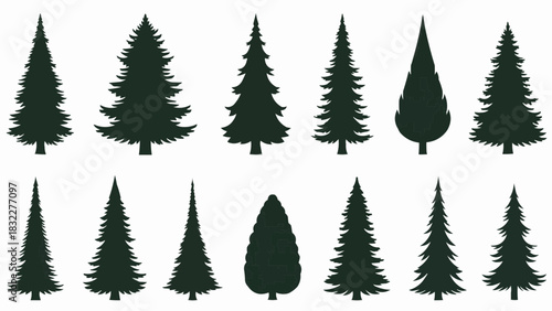 Silhouette collection of various evergreen trees including pine fir and spruce isolated on white background