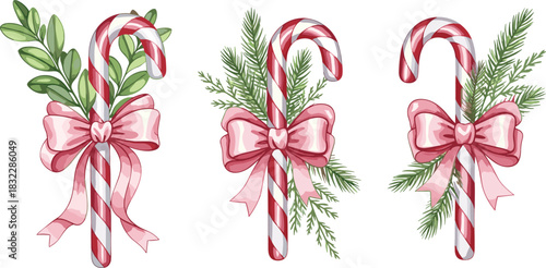 Vector set of three Christmas candy canes with red stripes, pink bows, green pine branches, leaves, festive holiday decoration elements for seasonal greeting card design.