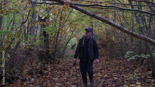 A man leisurely walks beneath a large and fallen tree branch in a vibrant and colorful autumn forest scene