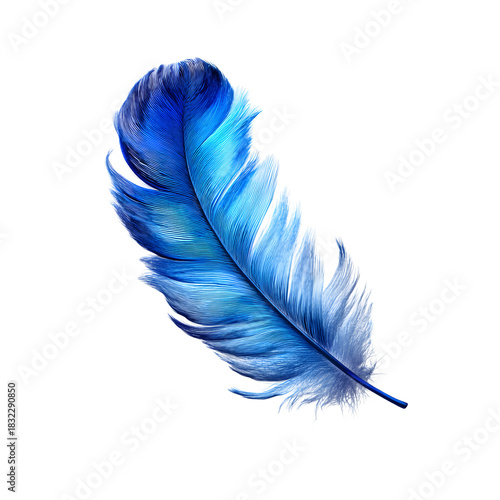 Blue feather on black isolated on white background