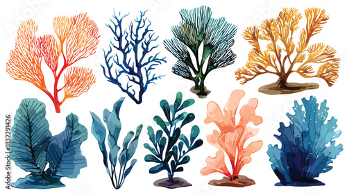 Diverse Seaweed and Corals Collection Vector Illustration