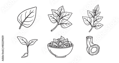 Vector whisk kitchen utensil for culinary preparation and baking essential for mixing food ingredients