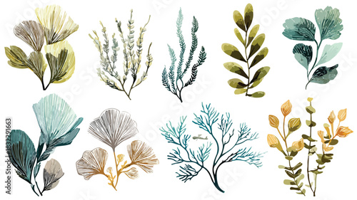 Vibrant Collection of Plants with Word 'S': Botanical Beauty Showcase