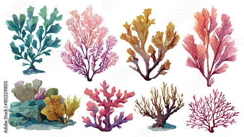 Vibrant Collection of Seaweeds and Corals Vector Illustration
