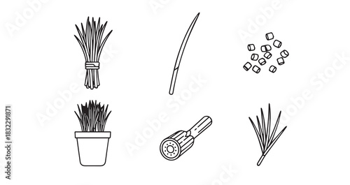 Chives icon 6 pec set black line art