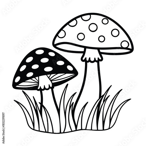 Fly agaric toadstool mushroom illustration isolated in green forest grass