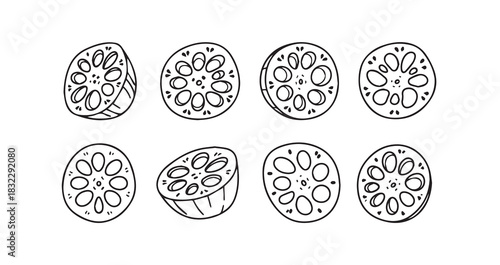 Lotus Root icon 6 pec set black line art 
